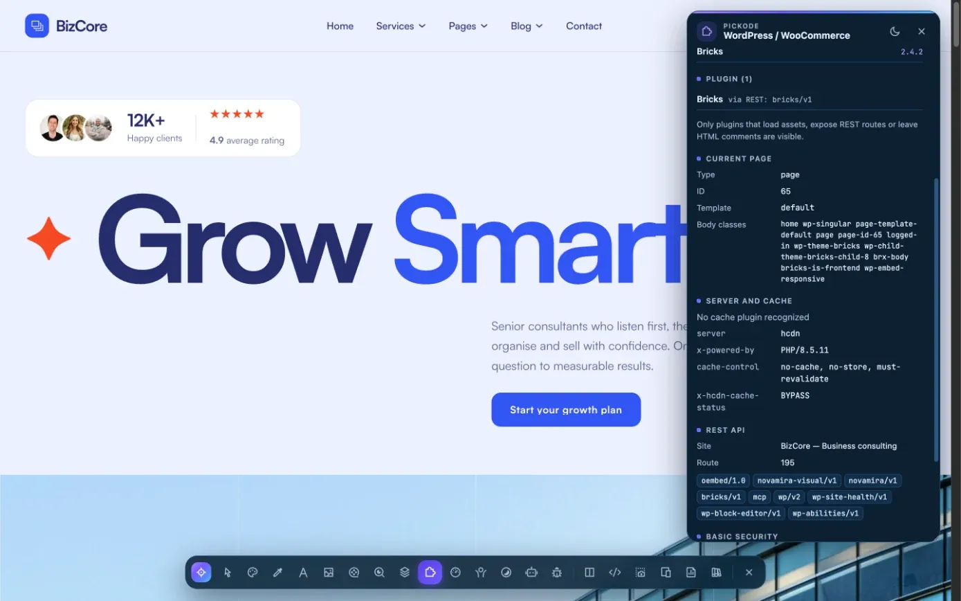 Read theme, plugins and builder
